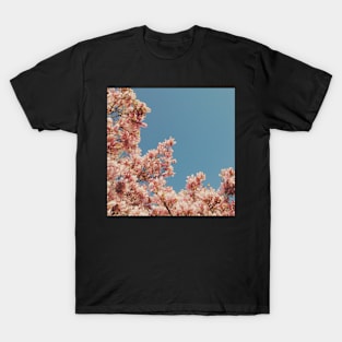 Pink Blossoms T-Shirt